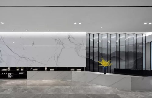 石材装饰欣赏 香港万隆控股office center